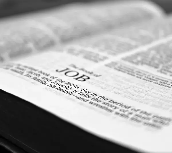 Daily devotion shows open bible to Job.