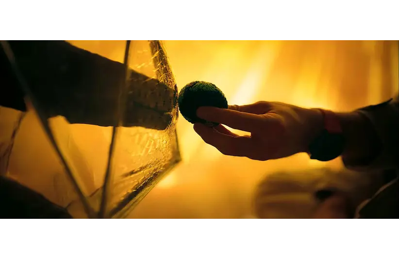 A hand holding a small, green, fuzzy ball presses it against a reflective surface. The warm, golden lighting creates a tranquil and mysterious atmosphere.