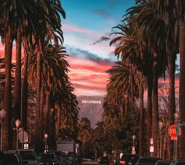 For today's daily Drop, we have a beautiful setting of palm trees and a sunset with the Hollywood sign in the background
