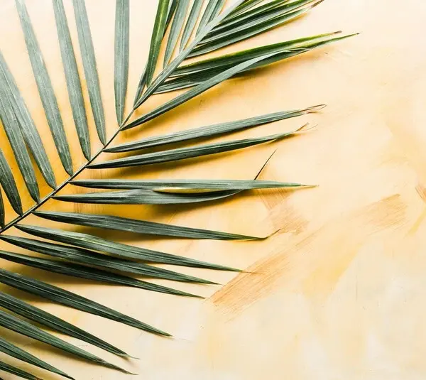 Palm leaf on a orange marbled background, Palm Sunday