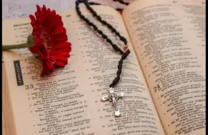 In daily devotion, an open Bible is shown with a rose and cross necklace inside.