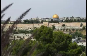 In Jesus's triumphal entry, He enters Jerusalem. Jerusalem is pictured in the distance of this photo with the temple standing out with a golden dome.