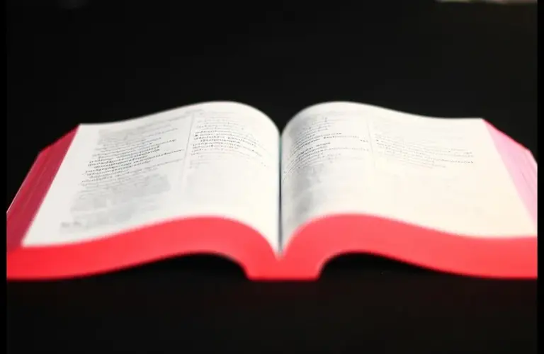 In daily devotion, a bible with red page tips sits on a black background.
