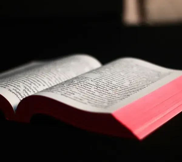 In daily devotion, an open Bible is shown on a dark background.