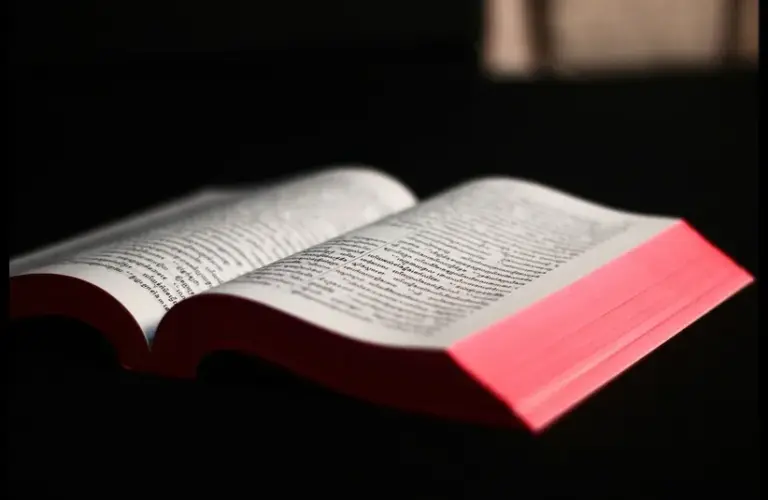 In daily devotion, an open Bible is shown on a dark background.