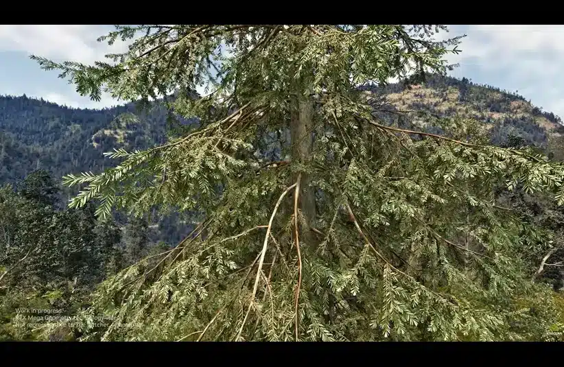 RTX Mega Geometry view of shadows on tree from Witcher 4 at GDC 2026 