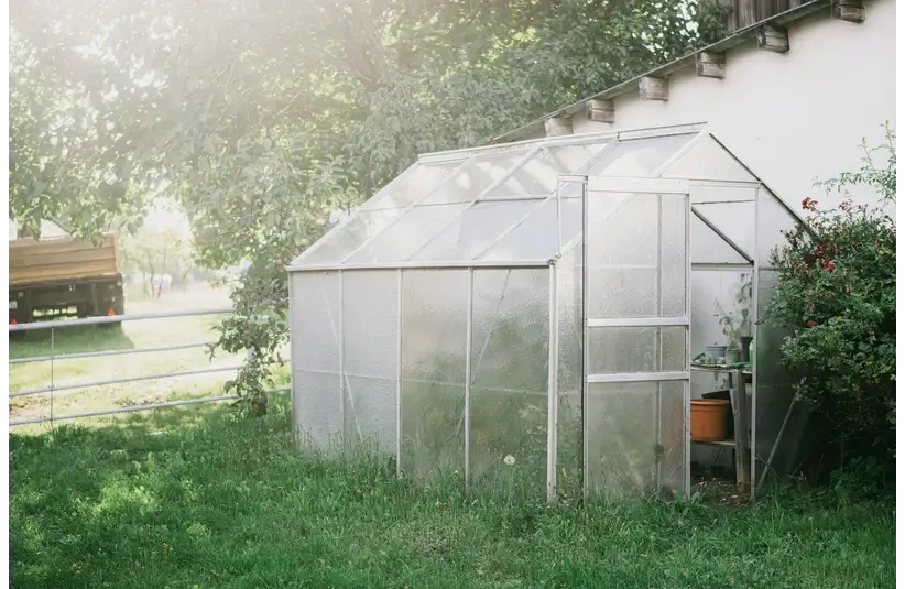 A small glass greenhouse sits on a sunny patch of grass next to a white building. Surrounded by lush greenery, it emits a serene, rustic charm.