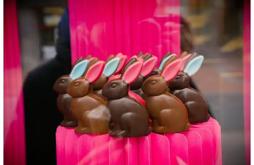 An assortment of chocolate bunnies