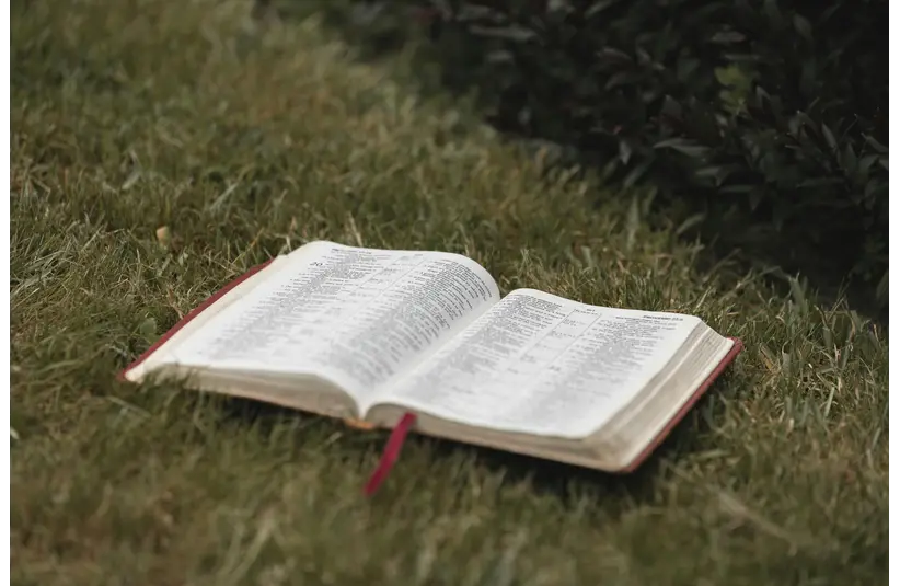 In daily devotional, an open Bible lies in a grassy field.