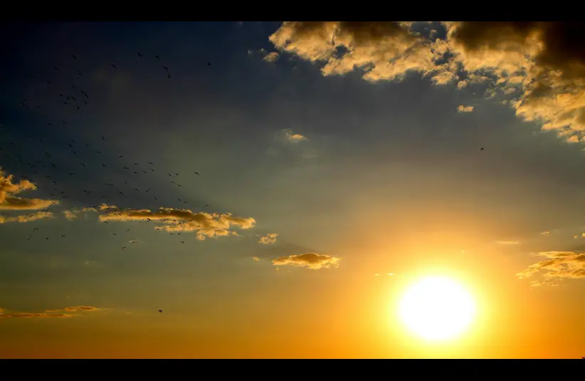 In the daily devotional, an image of the sun shining in its brilliance is seen.