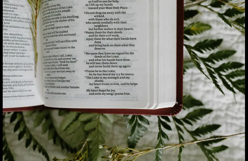 In daily devotional, an open Bible sits on branchces form a vine.
