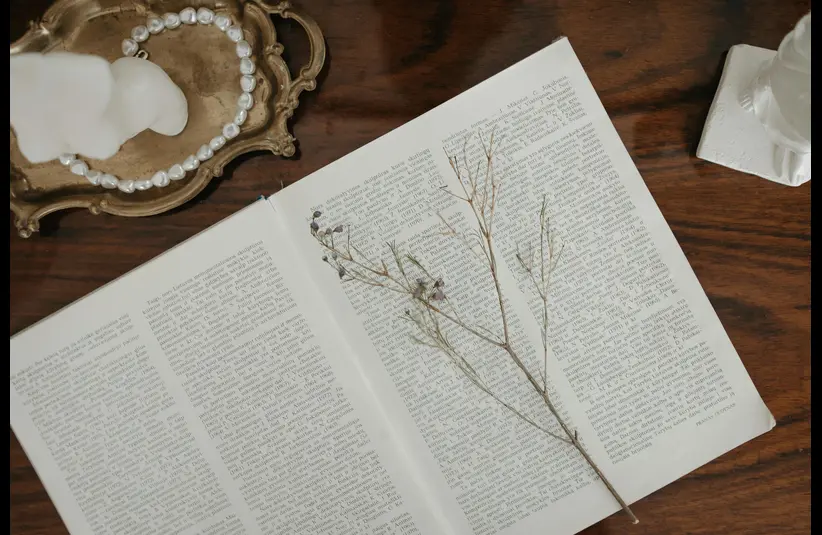 In daily devotional, an open Bible with a branch inside and a string of pearls on the side in a tray.