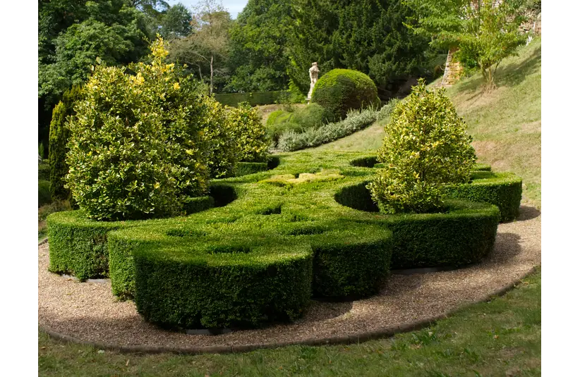 beautifully designed topiary of one of natural gardens with lush greenery and artistic shrub formations