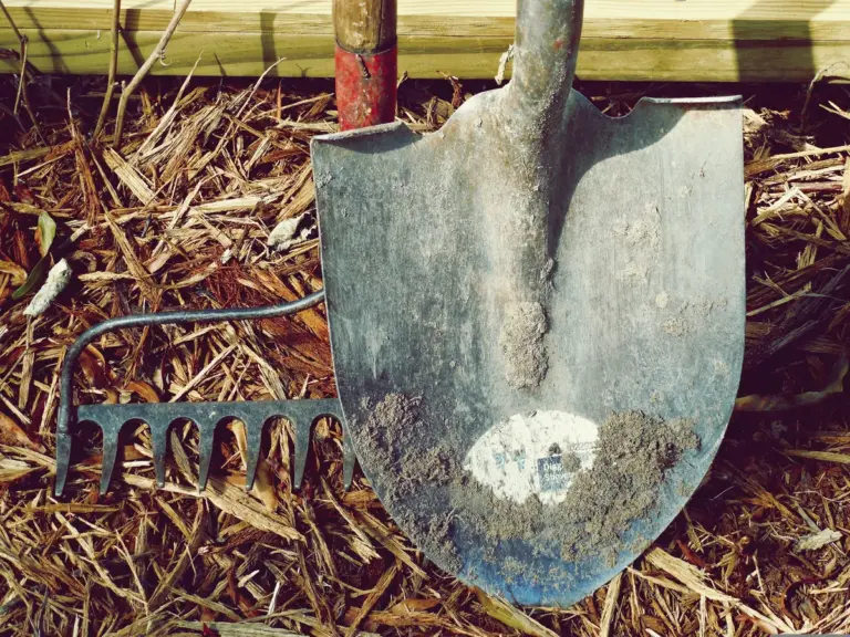 6 Easy Ways to Clean Garden Tools to Help them Last Longer