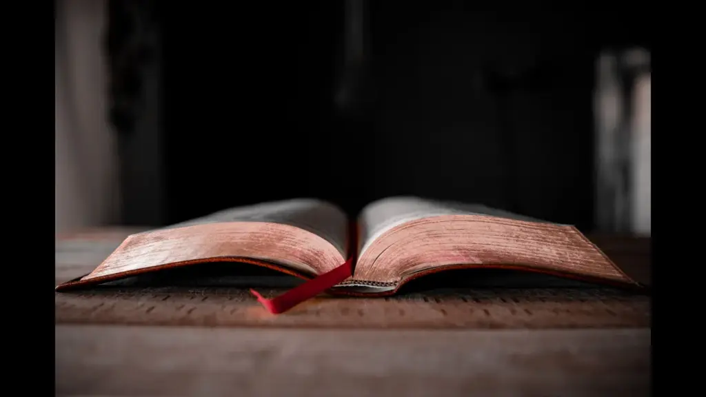 In daily devotional, an open bible is shown in a dark background.