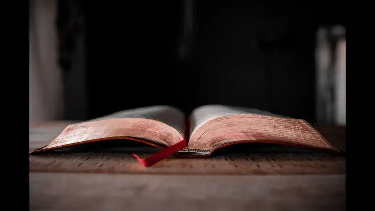 In daily devotional, an open bible is shown in a dark background.