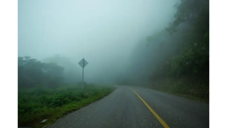 a haunting vibe of summer mysteries begin on a curved rural road wrapped in dense fog, swallowing the forest in a quiet, unsettling haze.