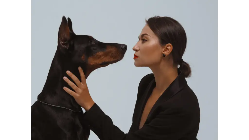 A stylish woman gazes at a Doberman in an intimate studio setting, creating a striking moment that perfectly captures the charm of pet lookalikes