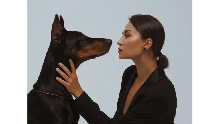 A stylish woman gazes at a Doberman in an intimate studio setting, creating a striking moment that perfectly captures the charm of pet lookalikes