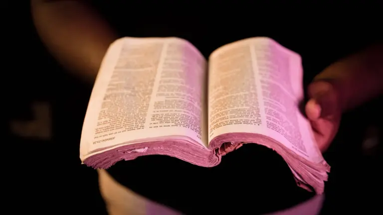 In daily devotional, someone holds the Bible open as if reading.