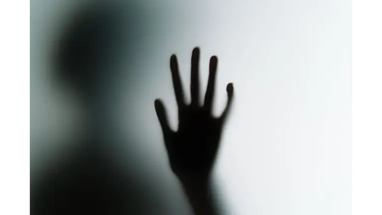 Silhouette of a hand against frosted glass, a quick hit of horror origins in one chilling frame.