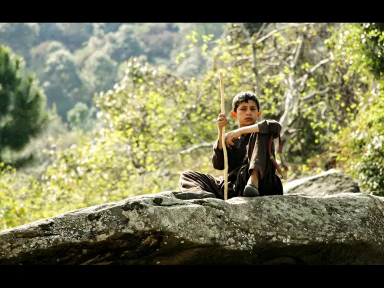 In Tuesday's daily devotional, a young   shepherd boy watches over the flock as he sits atop a rock with his staff in hand. 